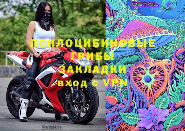 PSILOCYBIN Абинск